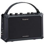 Roland Mobile AC Acoustic Chorus Battery Powered Guitar Amplifier